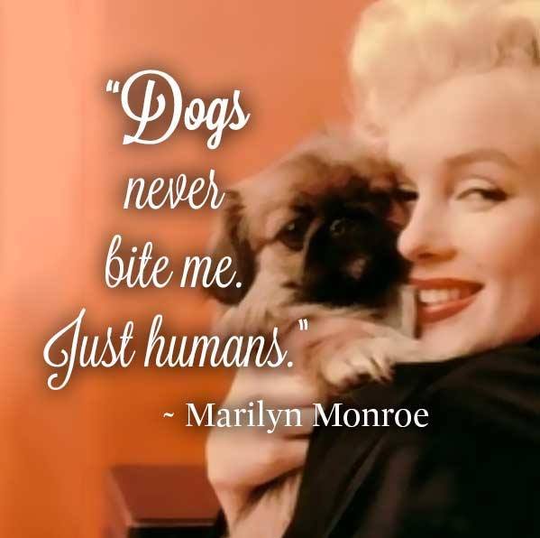 marilyn monroe